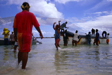 Surveillance Brings Tuvalu Closer to International Fold 