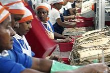 Fish processing plant in Port Louis, Mauritius. Improving productivity is key to enabling small middle-income countries to compete internationally (IMF photo) 