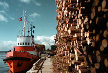 Lumber for export in Skulte, Latvia, where the economy has staged a strong recovery (photo: EPA/AFI/Newscom) 