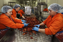 Trabajadores en una empresa alimentaria en Agrinio. Los precios han comenzado a caer en Grecia, gracias a la mayor competencia. (Photo: Yorgos Karahalis/ Reuters) 